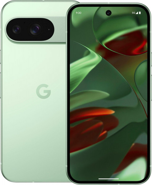 Google Pixel 9 5G DS 12GB/256GB Hellgrün Android-14 50MP 6.3" OLED 4700mAh NFC