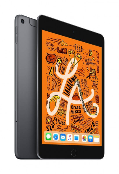 Apple iPad mini 2019 spacegrau 256GB LTE iOS Tablet 7,9" Retina Display 8 MPX