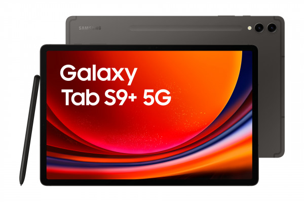 Samsung Galaxy Tab S9+ 256GB grau 5G Android Tablet 12.4" 13MP Dual-SIM 12GB RAM
